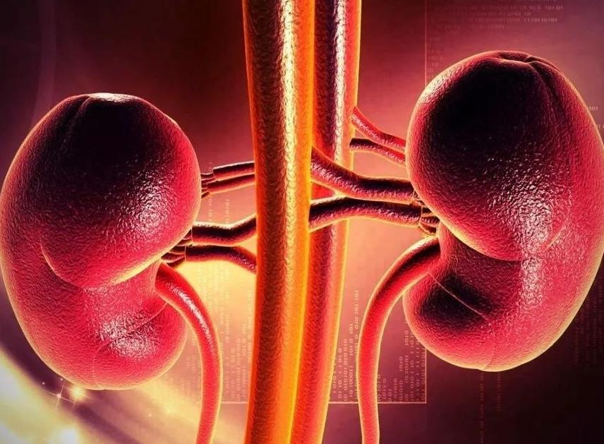 安全套的油有害的吗,安全套的油对人体有什么害处吗