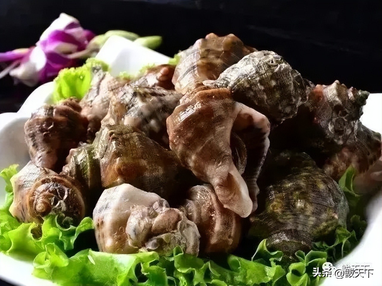 营口鲅鱼圈国际马拉松赛,鲅鱼圈马博会是哪天