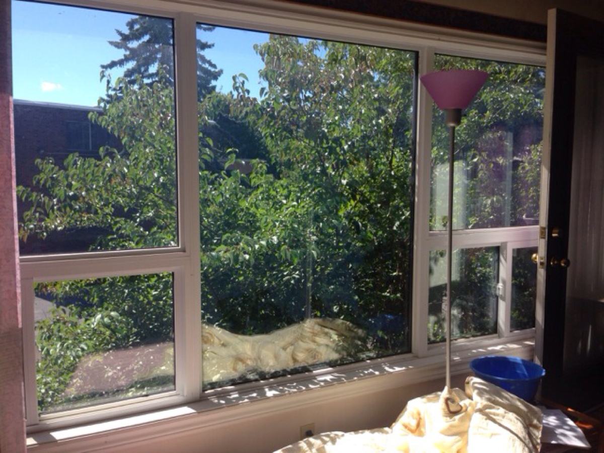 一楼房屋曾红极一时，为何被冷落了？原因很简单，缺点一目了然