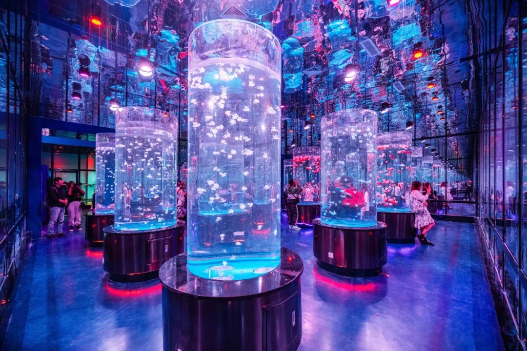 2023泉城新春贺年会来啦!灯会庙会游园会统统都有