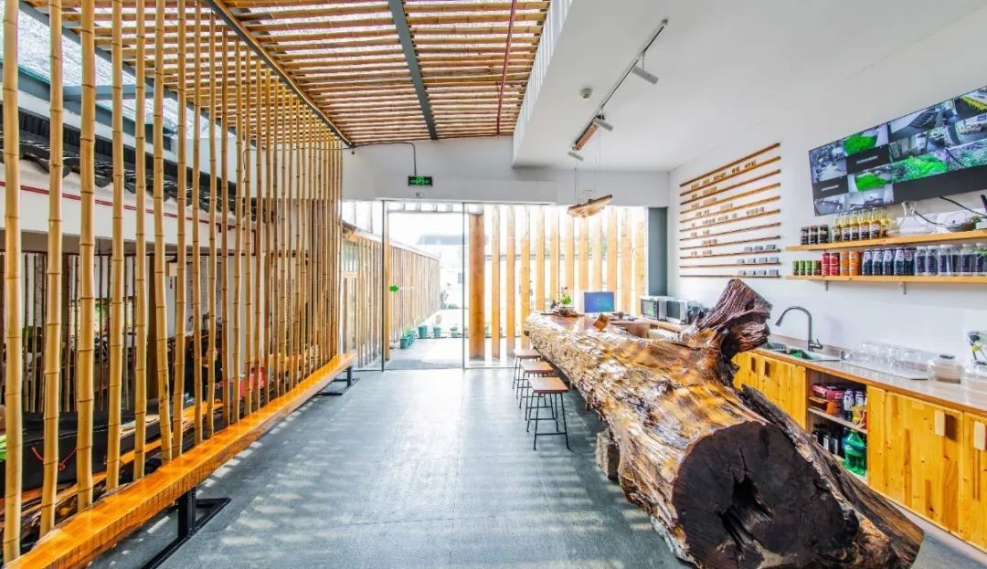 苏州最有特色民宿推荐,苏州特色民宿推荐