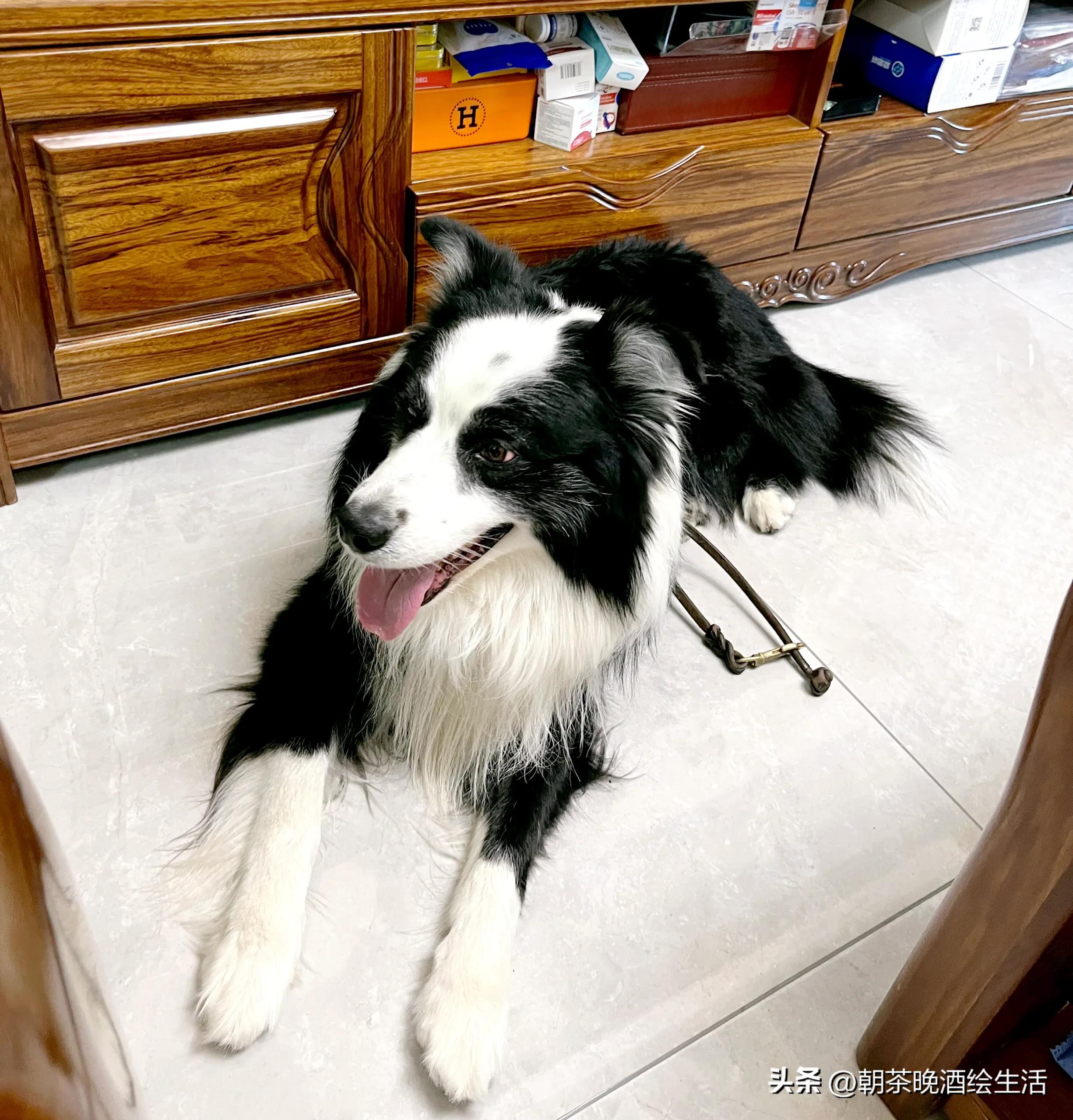 回门宴也可以有满满的仪式感,回门宴和婚礼流程一样吗