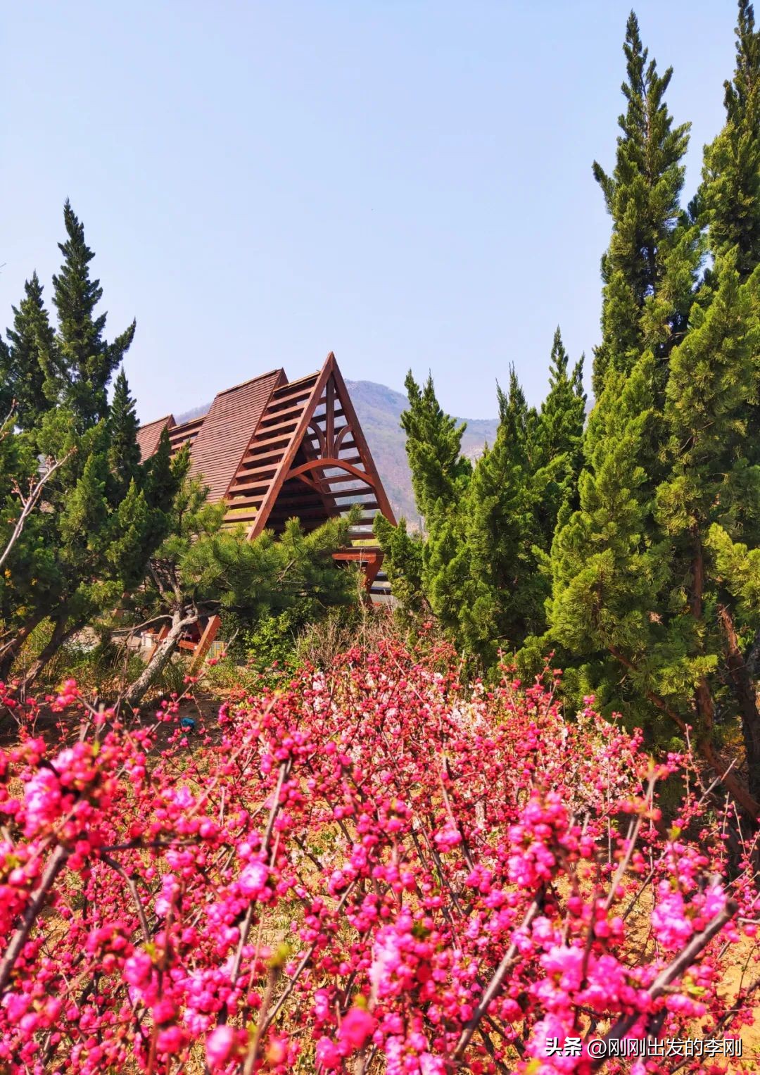 大连60岁以上老人免费景点,大连过年免费景点大全