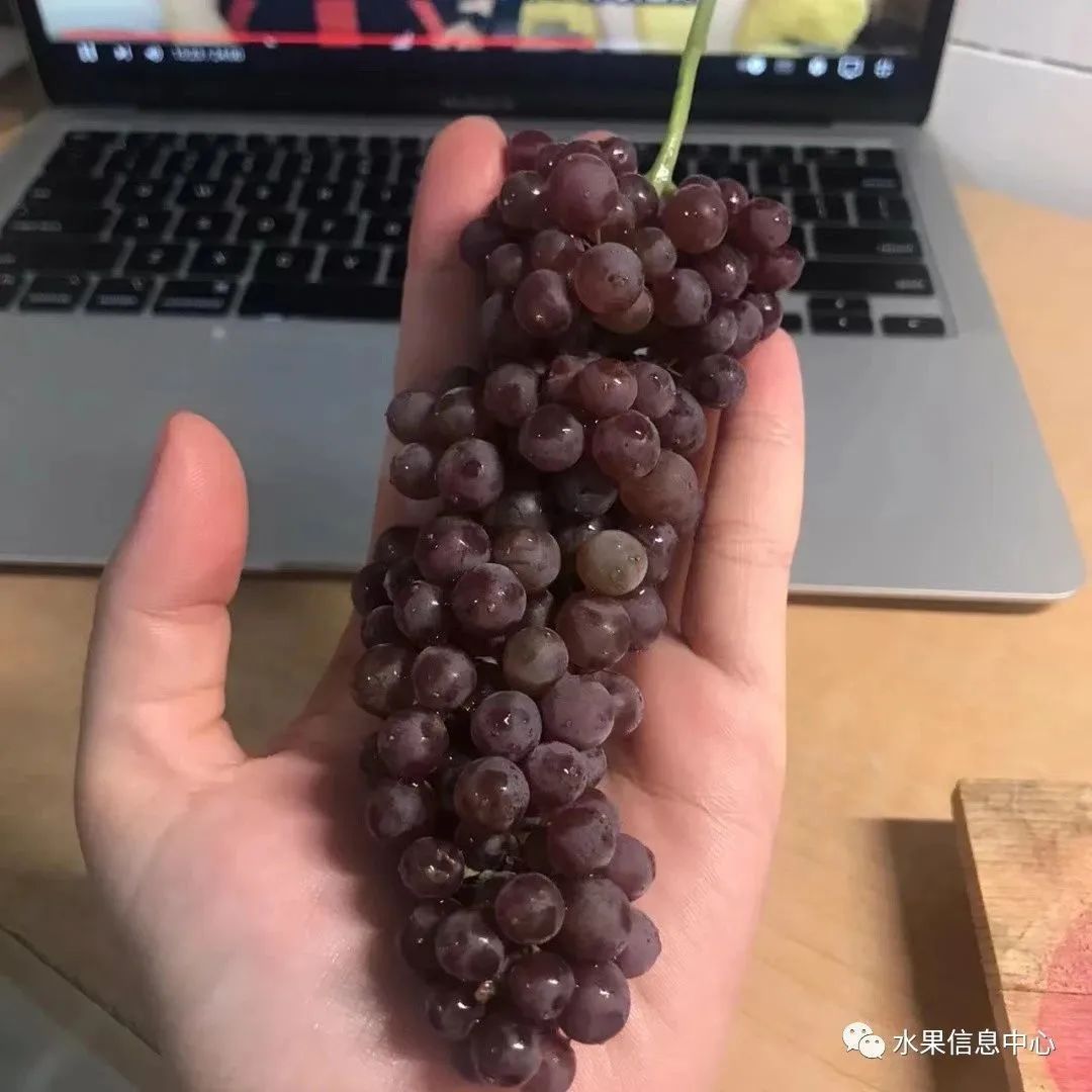 买香蕉只买一根,买香蕉去根部很缺德吗