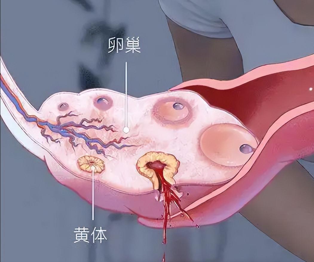 姨妈完后外阴痛怎么回事,姨妈过后外阴有点疼怎么回事