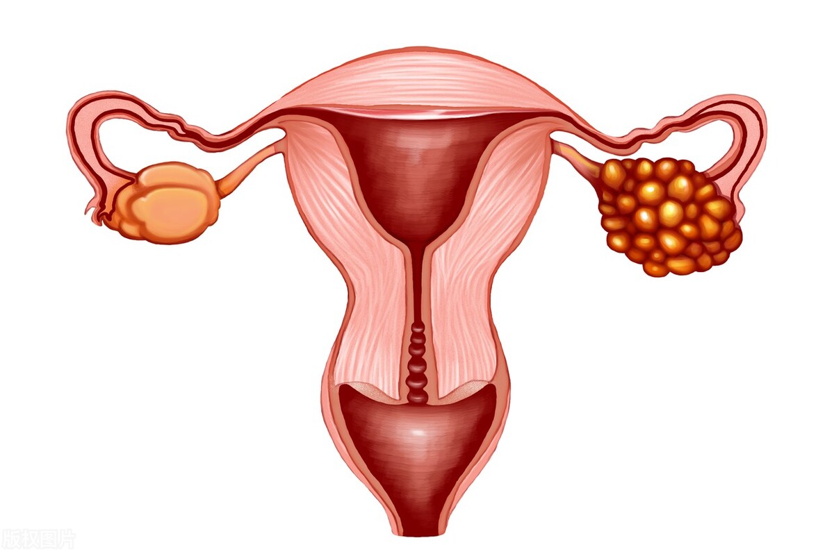 夫妻“互动”的时间是否越久越好?医生:一个范围内,还算挺健康
