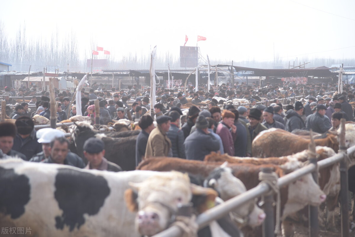 喀什冬游,冬天去喀什旅游攻略