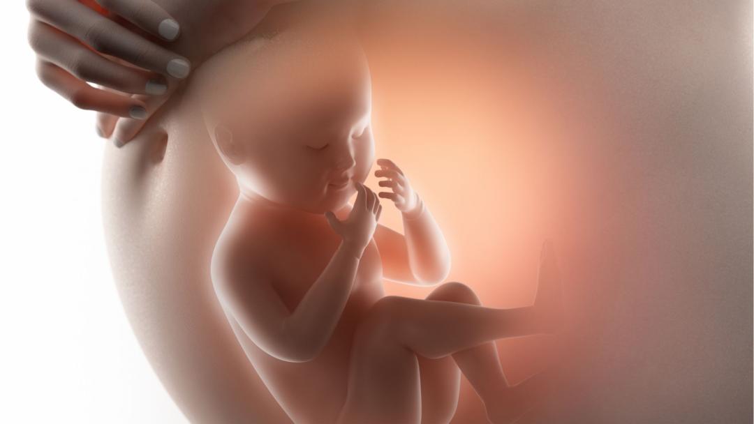胎位不正想顺产平时应该怎么做,胎位不正医生用手纠正