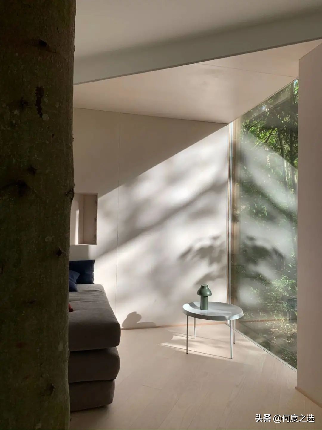 森林里的“树屋”：丹麦森林中建造的酒店，美到让人窒息