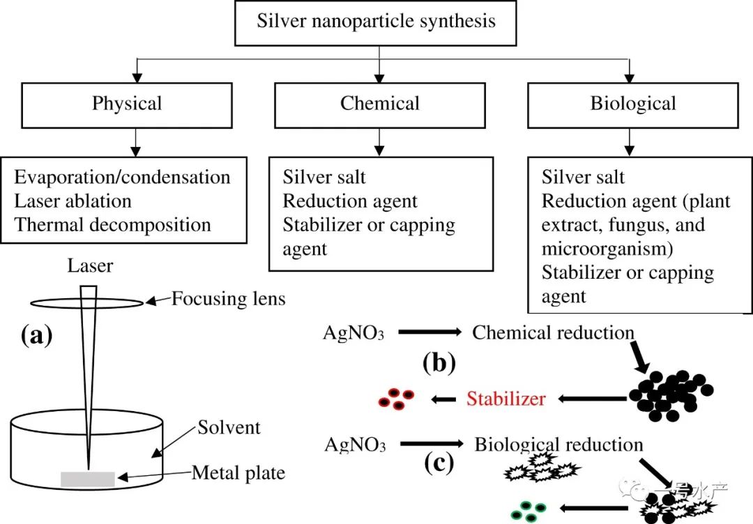 纳米银为啥能杀菌,纳米银杀菌
