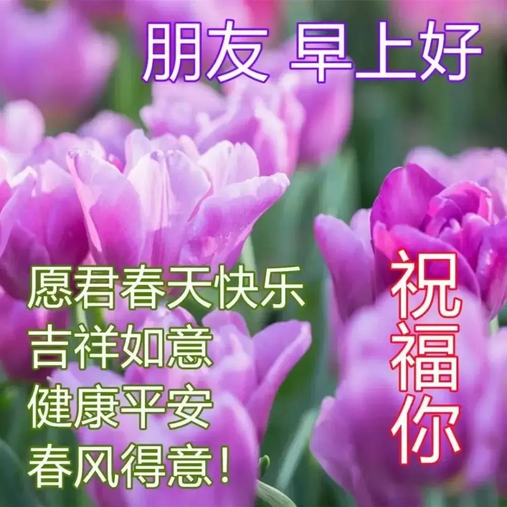 庚子日柱2023年癸卯年运势,癸卯年2023年哪个月出生最好