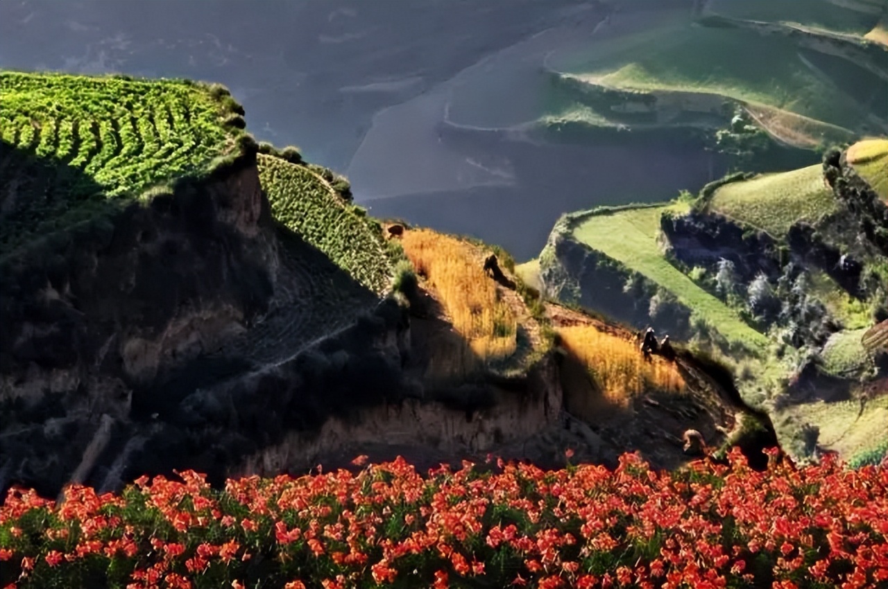 金城著名地方,金城历史由来