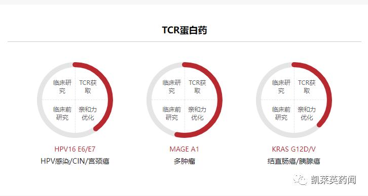 TCR创新药：不止是TCR-T、还有TCR蛋白药