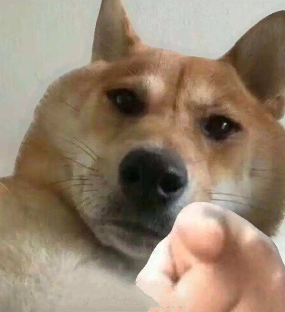 翘臀下垂的原因,翘臀怎么翘才是真正的方法