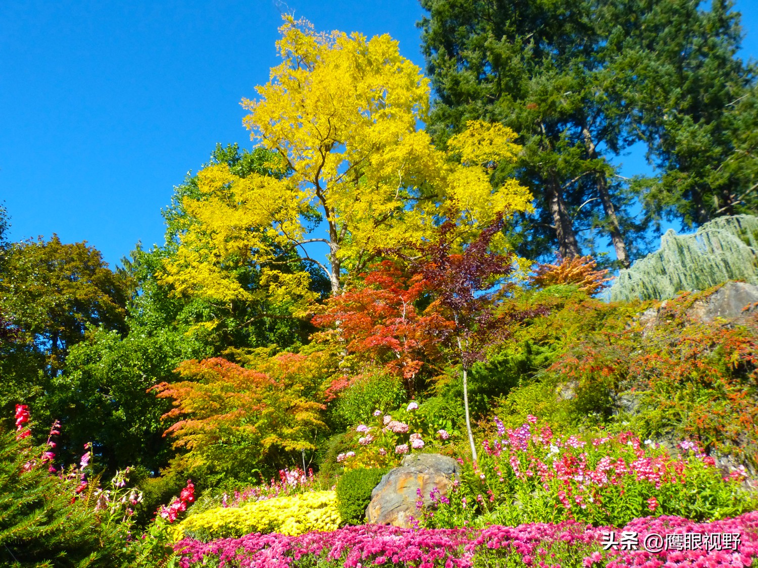 加拿大的维多利亚,加拿大四季如春的城市维多利亚