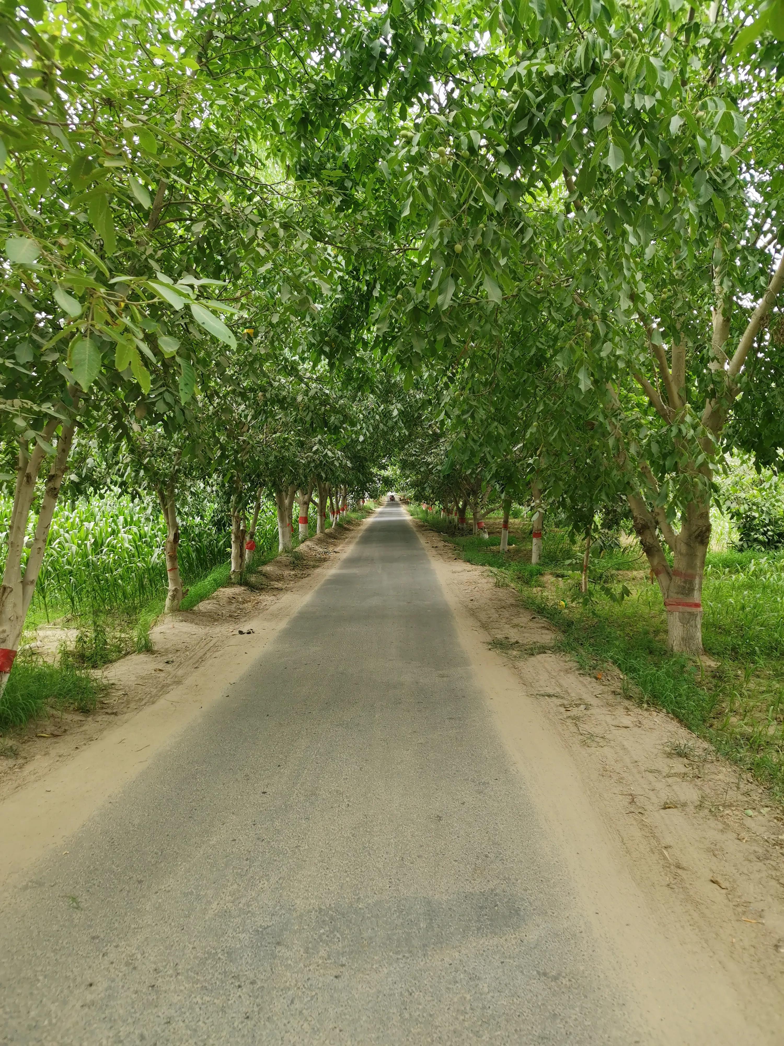 骑行新疆喀什噶尔,和田至阿拉尔沙漠公路骑行攻略