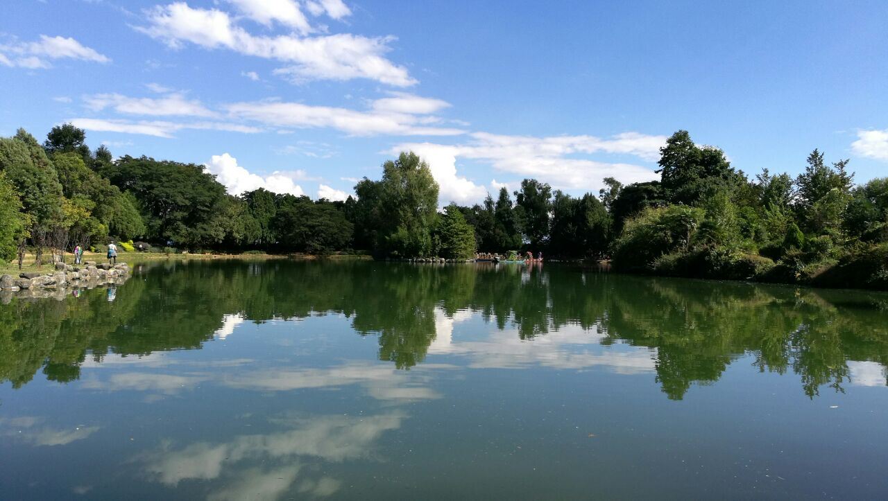 云南旅游景点大全最值得去的,云南旅游景点有哪些好玩的