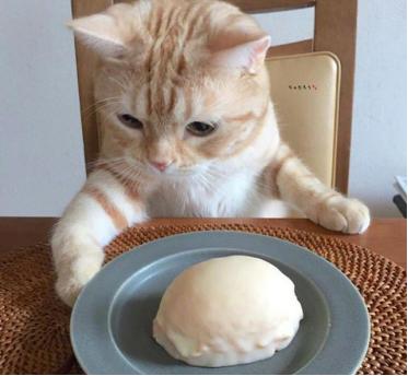 这款零食鼓吹寄几是挑食救星,必须锤它!!!