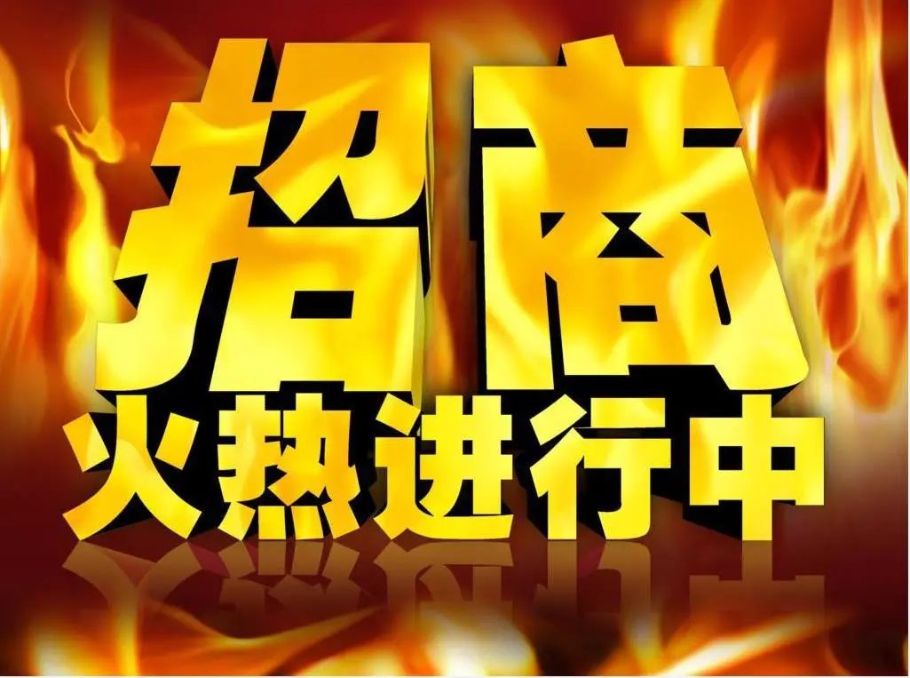 百日行动诈骗案多久结案,百日行动案件破获