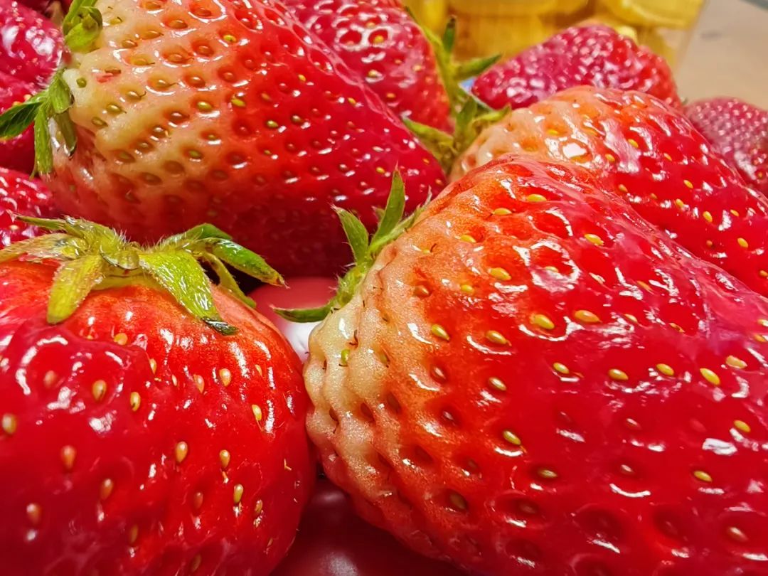 荣耀magic5pro和荣耀magic6,荣耀magic5pro价格