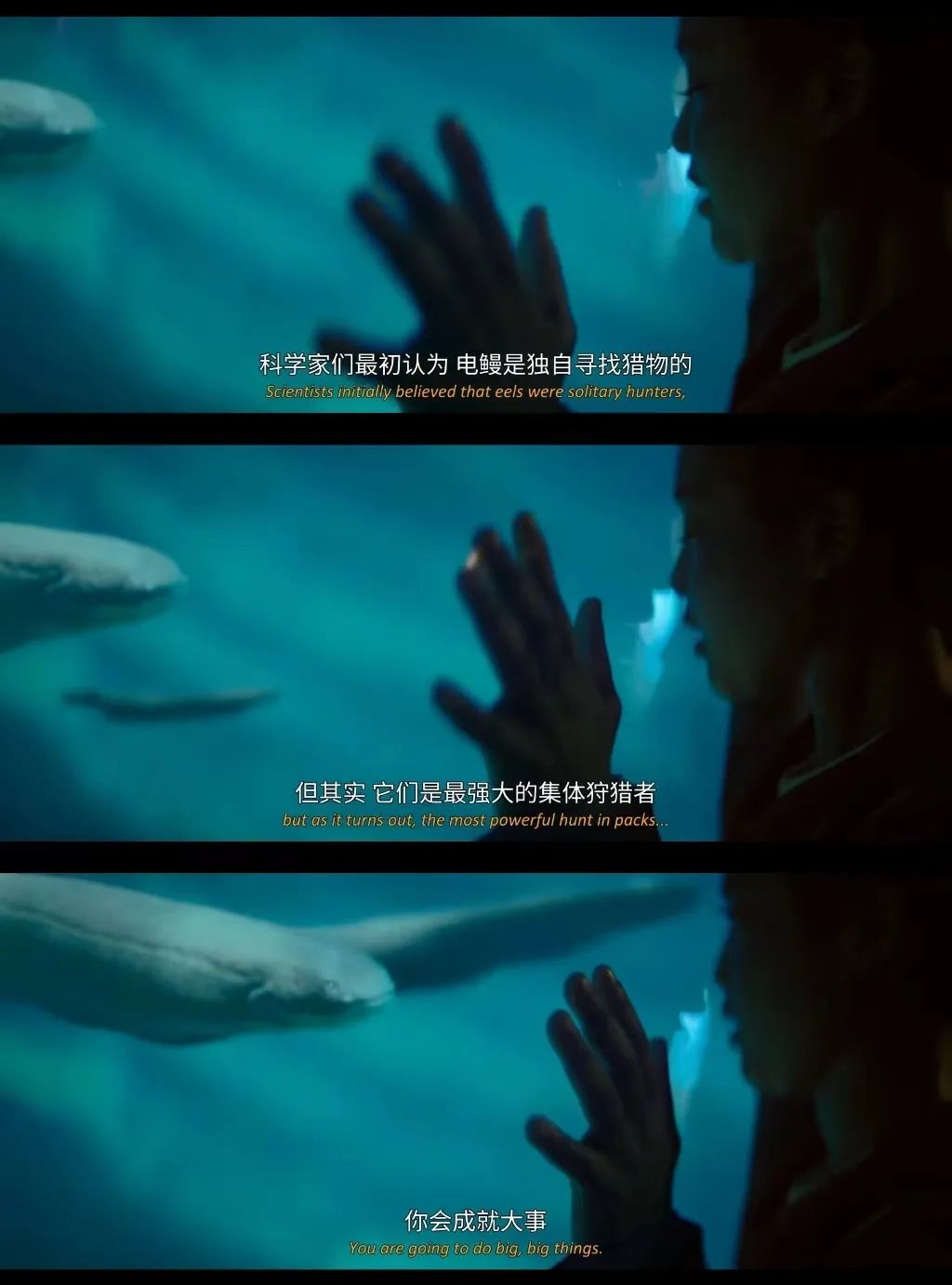 美剧推荐爱情科幻,科幻美剧女性题材