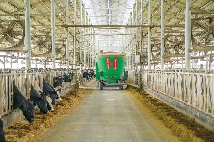 奶牛规模化养殖场建设方案,奶牛养殖场建设的标准是