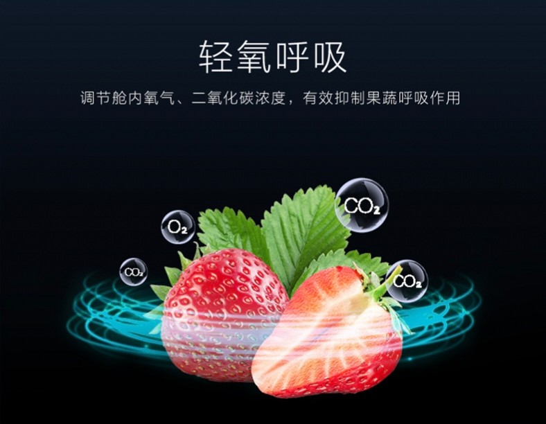 格力晶弘502冰箱产品介绍,格力晶弘无霜冰箱198价格