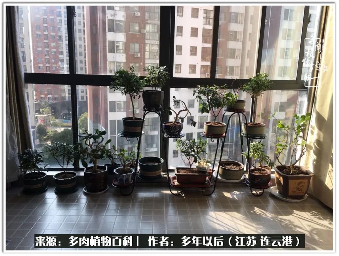 我若不弃，愿你不负我所期