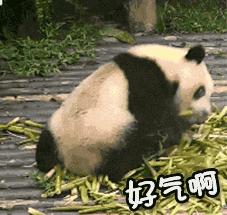 电信光猫设置提升网速,提升网速技巧修改域名