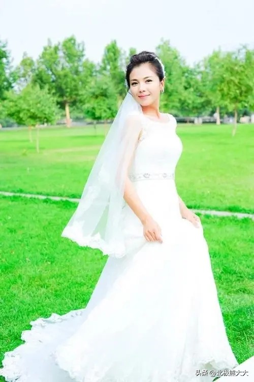 从贤妻到女强人刘涛都经历了什么,贤妻刘涛的情感往事