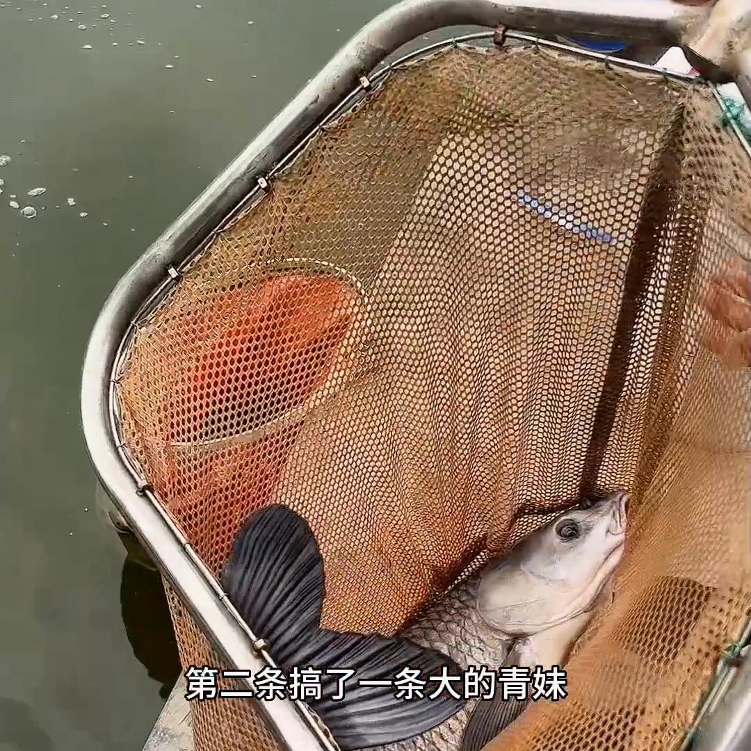 老王又被打去做深蹲😂#原来钓鱼才是抖音运动顶流