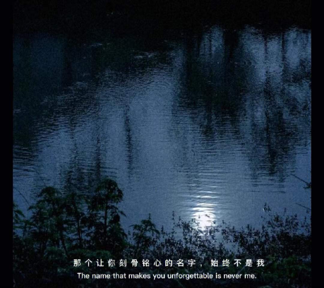 没有你的日子文案,我的城市没有你文案