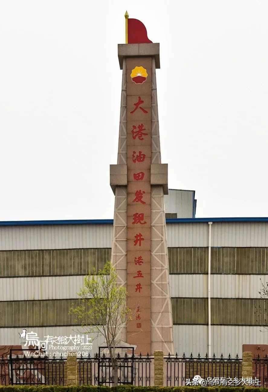 大港油田回顾史,大港油田回顾历史