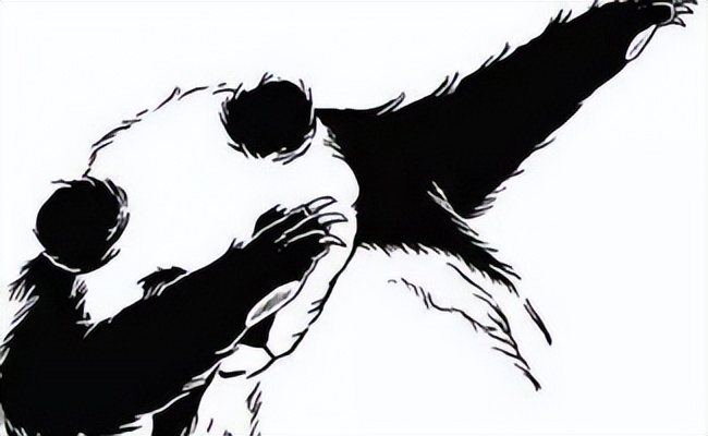 猫咪手术后不喝水不吃东西怎么办,猫咪走丢两天回来无精打采只喝水