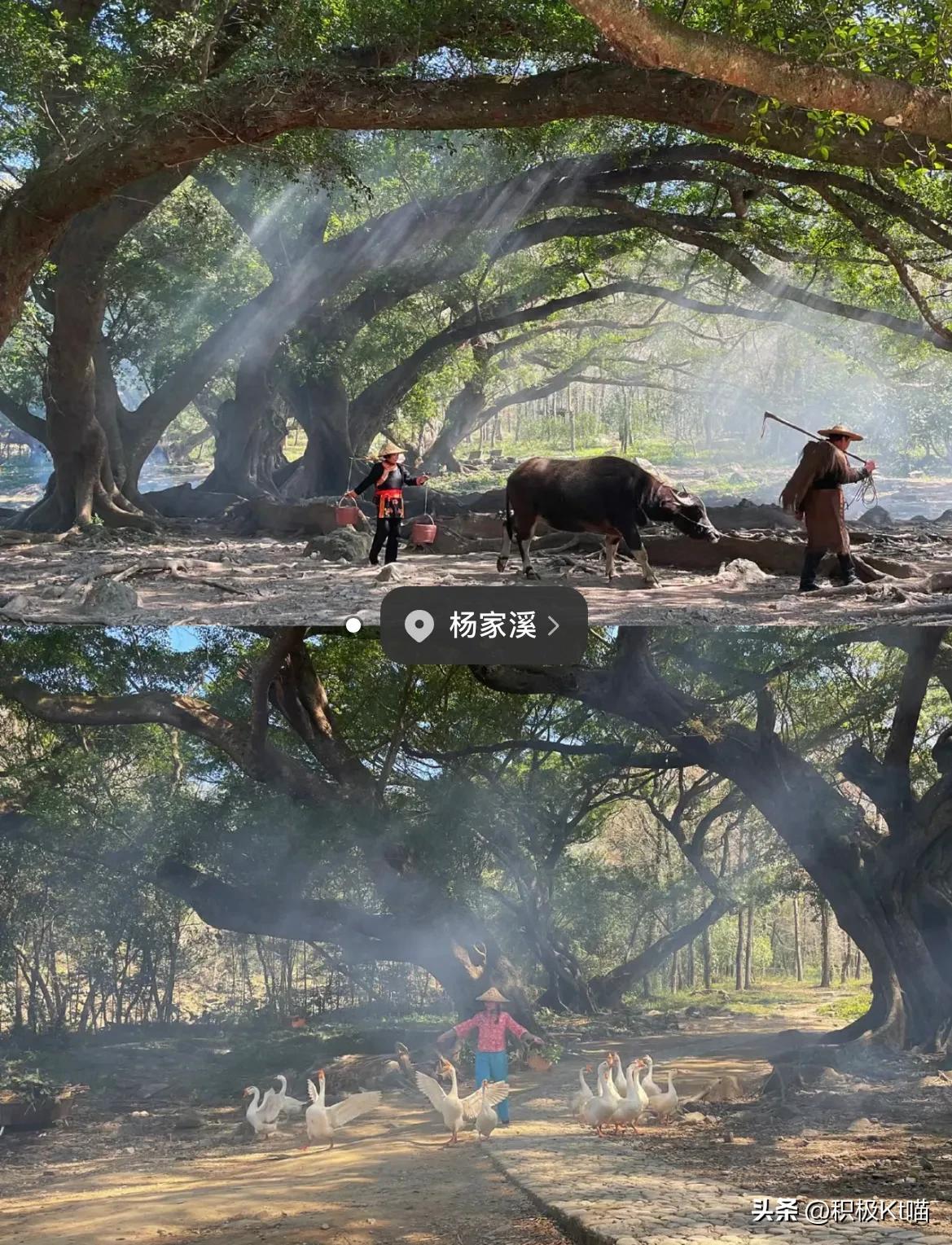 福建霞浦值得去旅游吗,福建霞浦小渔村旅游攻略