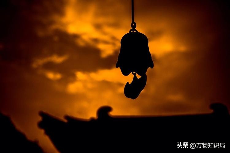 舍利子是高僧哪个部位形成的,高僧身体中的舍利子是如何产生的