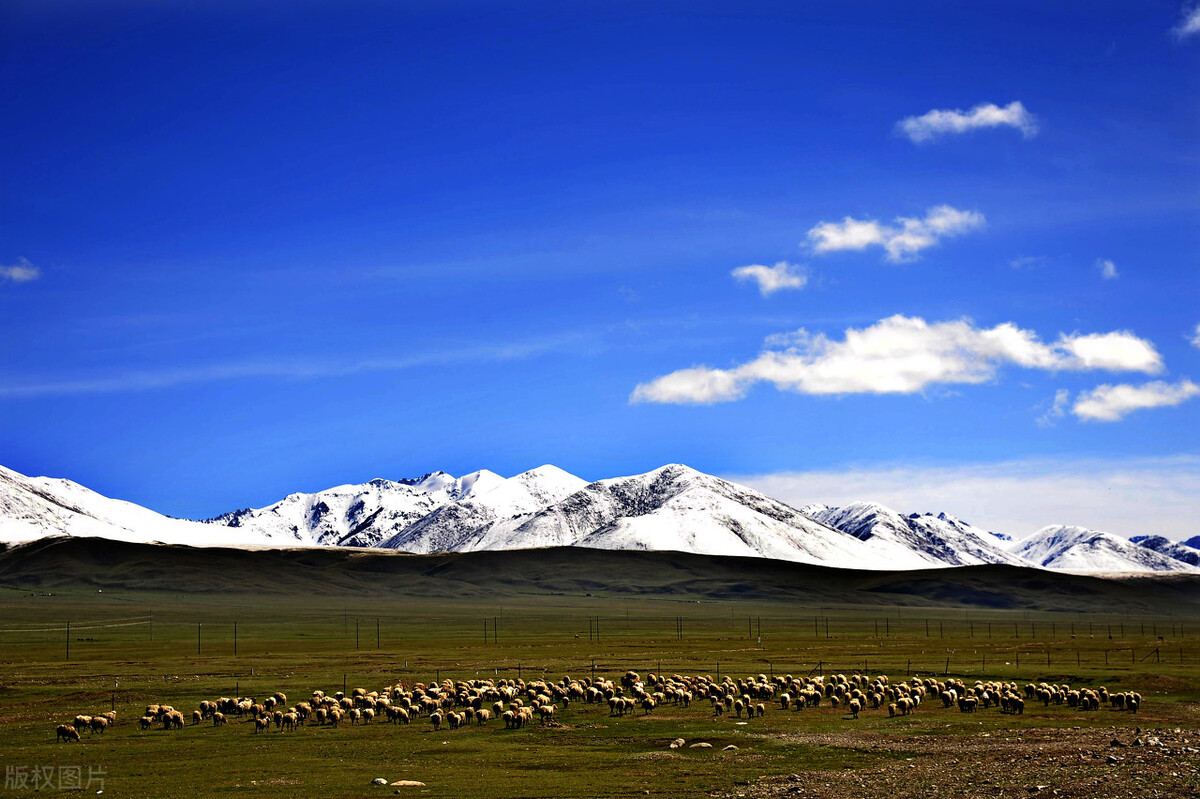 不到*疆新**，不知中国之大，不包邮的*疆新**到底有多大？