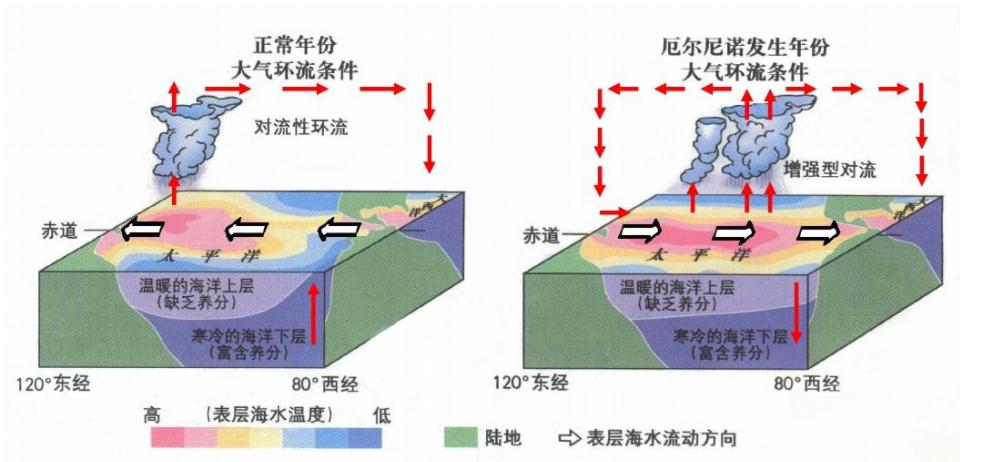 全国前10高温榜！没40度上不了，台风泰利要生成了？GFS：7月中旬