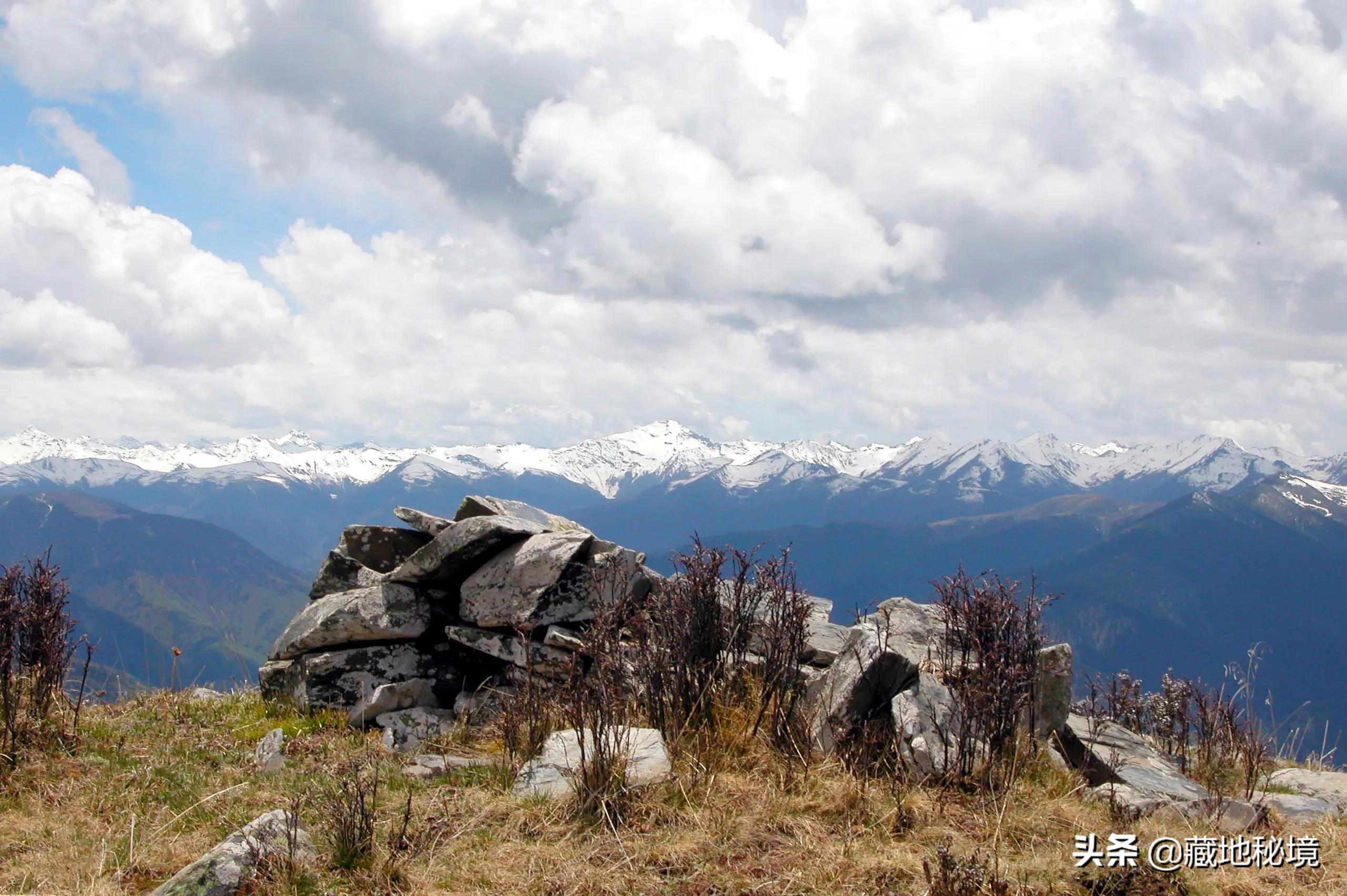 小说失踪假日,小说连载失踪的女人