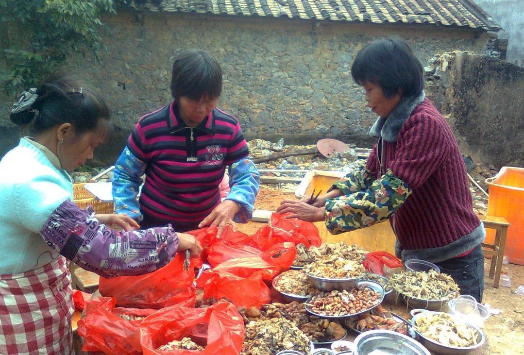 农村假富人最新视频,农村炫富的新形式