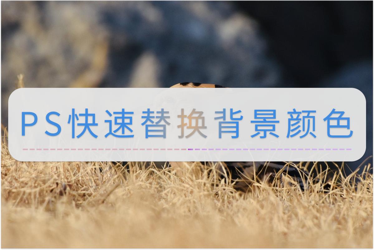 ps的颜色怎么替换不了一直是灰色,ps替换颜色出来的颜色不一样