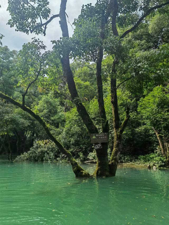贵州自由行五天游攻略图片大全集,五日游贵州跟团多少钱一个人去玩