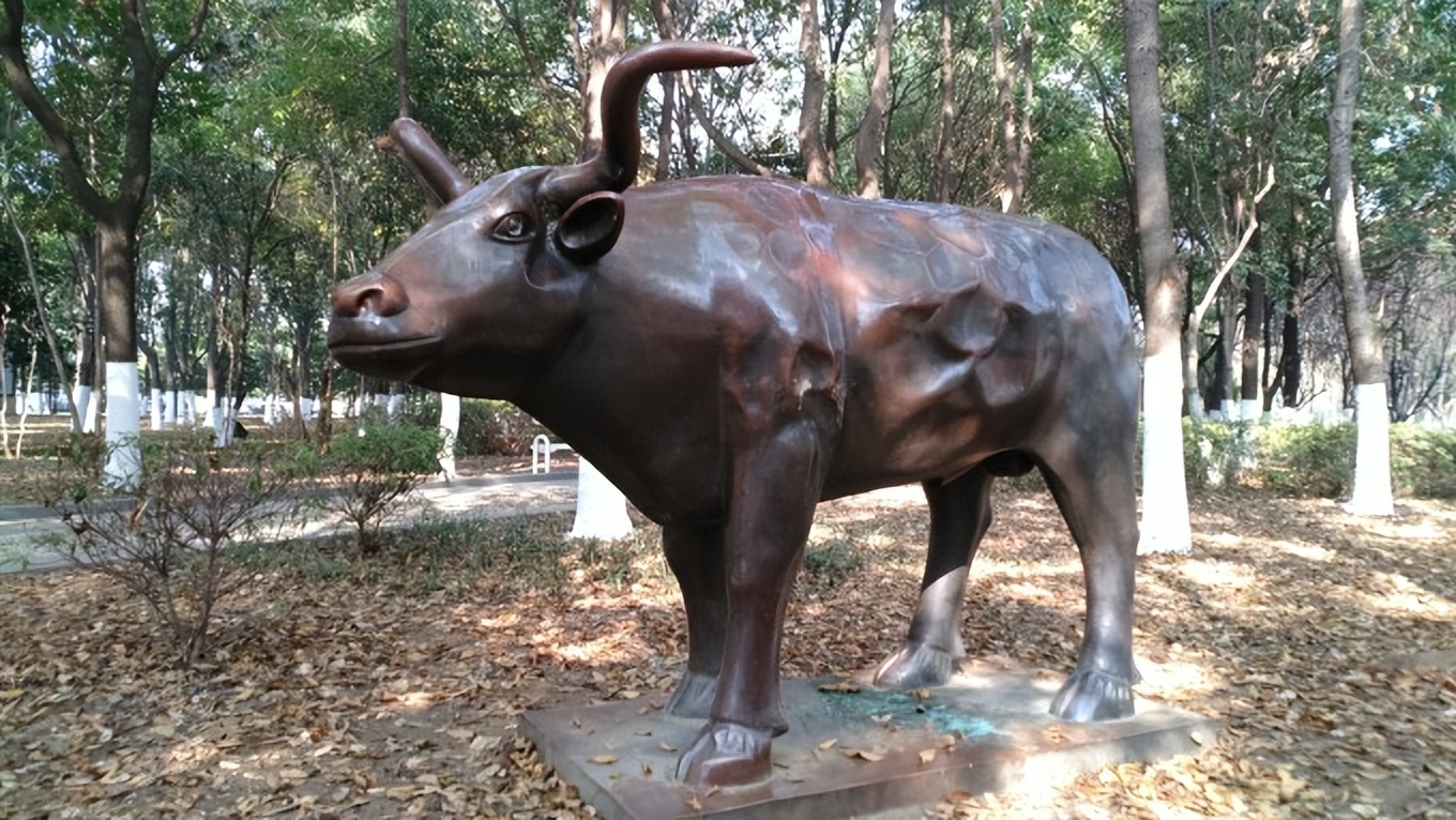 武汉友好城市视频,武汉友好城市联盟