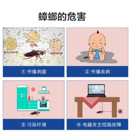 家里有蟑螂用哪种杀蟑办法,蟑螂在家怎么正确消灭最彻底
