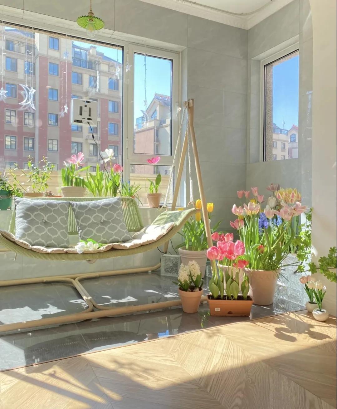 家中植物风水禁忌大全,家里养花对夫妻关系风水的讲究