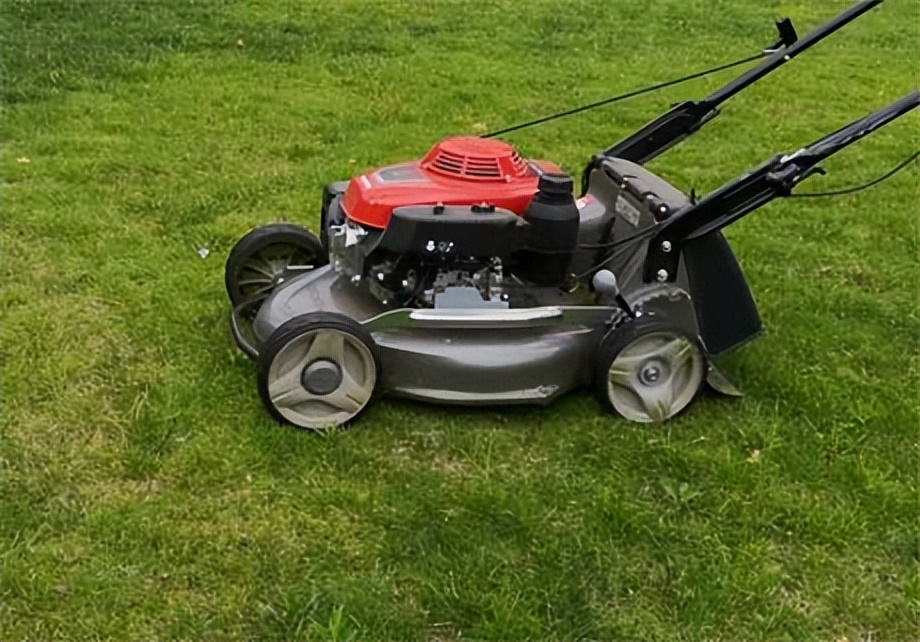 夏天草坪枯死都有哪些原因,夏季草皮枯黄怎么治