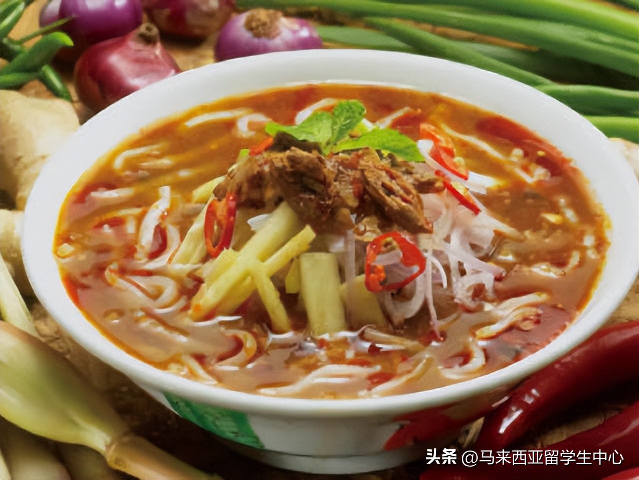 椰浆饭叻沙乌达……马来西亚美食哪个你最忘不了？