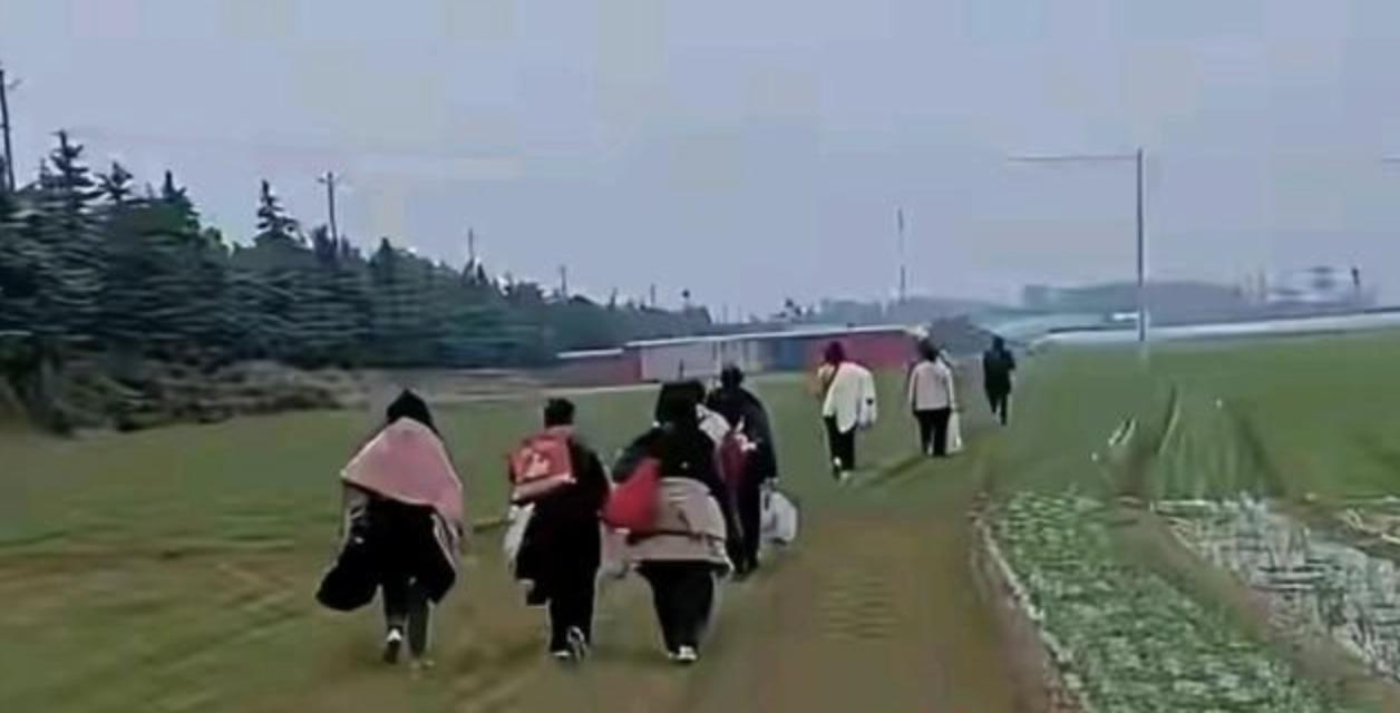 富士康和比亚迪谁官司赢了,富士康与比亚迪事件