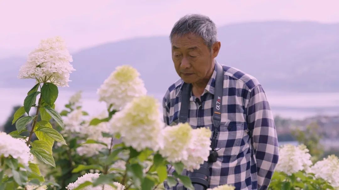 云花大结局云花和谁在一起了,斗南云花