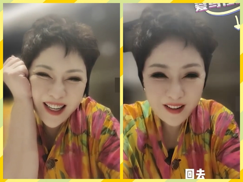 向太评价袁咏仪,向太给袁咏仪爱马仕